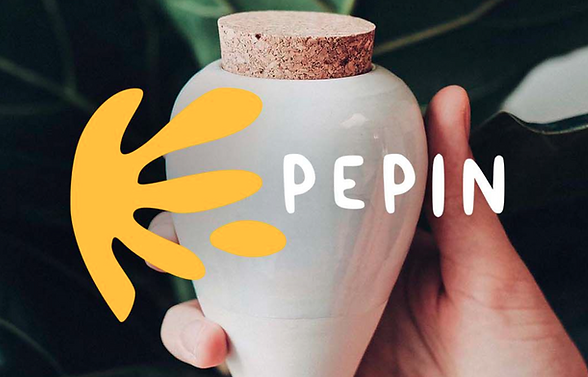 Pépin